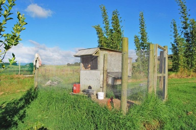 Photo of property in 197 Pukenui Road, Kaiwaka, 0573