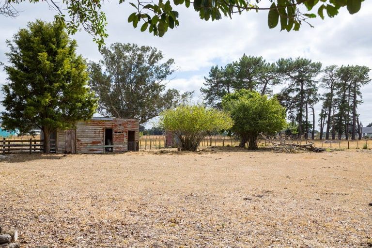 Photo of property in 299 Bidwills Cutting Road, Morison Bush, Greytown, 5794