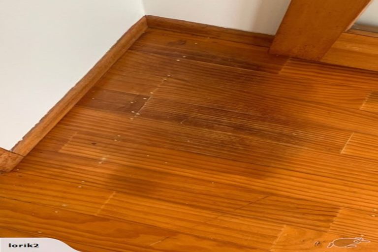 Photo of property in 46 Stott Avenue, Birkdale, Auckland, 0626