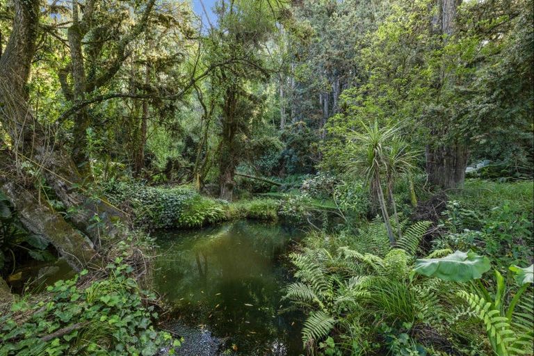 Photo of property in 303 Gibbons Road, Kaiwaka, 0573