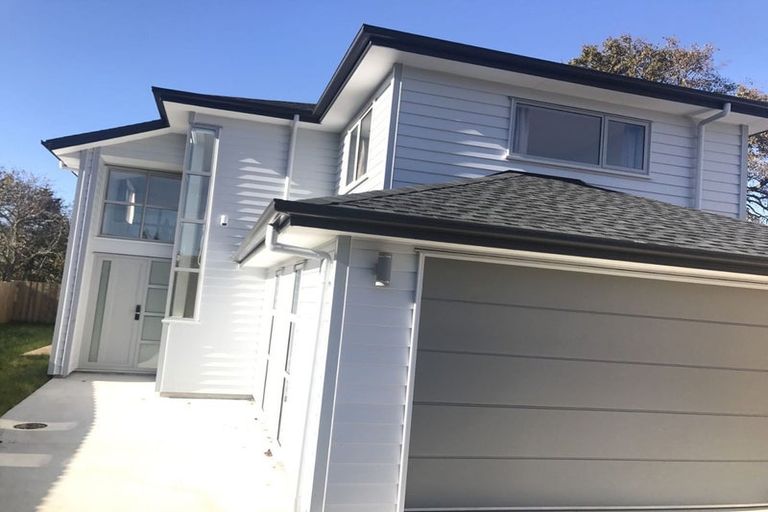 Photo of property in 43 Nikau Street, New Lynn, Auckland, 0600