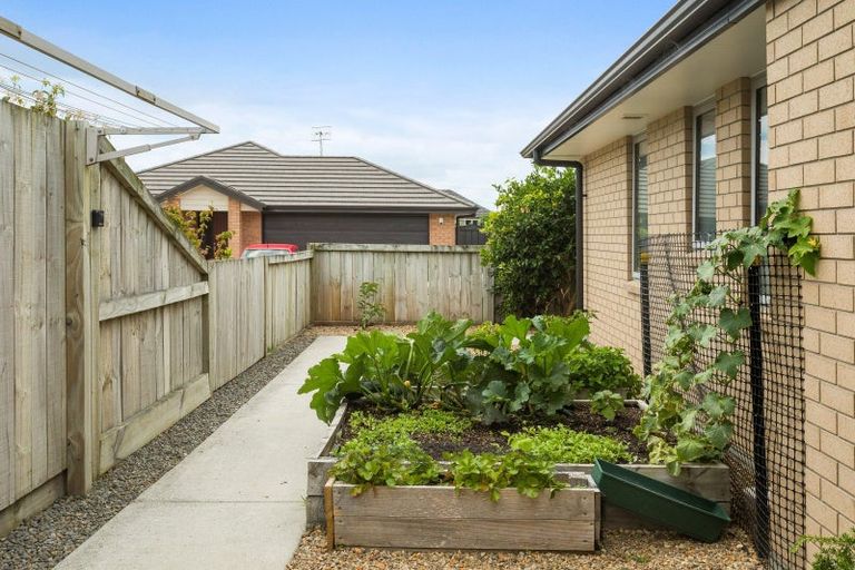 Photo of property in 8 Eastbank Drive, Katikati, 3129