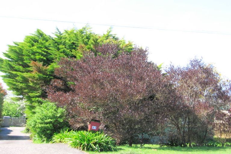 Photo of property in 41 Island View Road, Western Heights, Rotorua, 3015