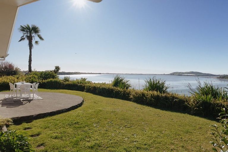 Photo of property in 77 Te Hono Street, Maungatapu, Tauranga, 3112