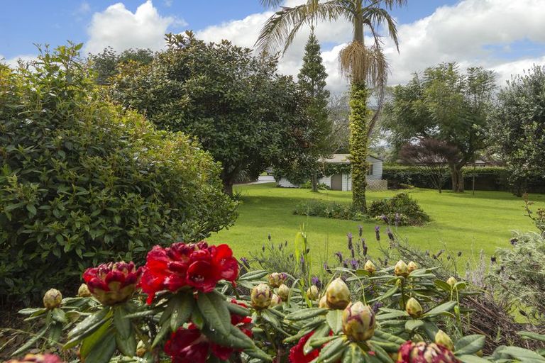 Photo of property in 56 Robins Road, Judea, Tauranga, 3110