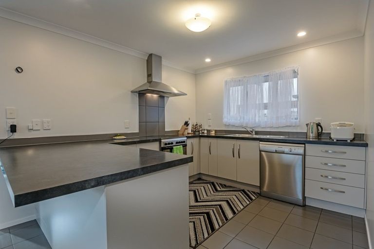 Photo of property in 101a Ruahine Street, Roslyn, Palmerston North, 4414