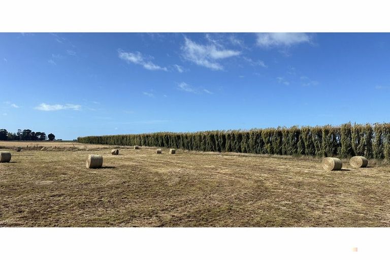 Photo of property in 8 Barretts Road, Seadown, 7973