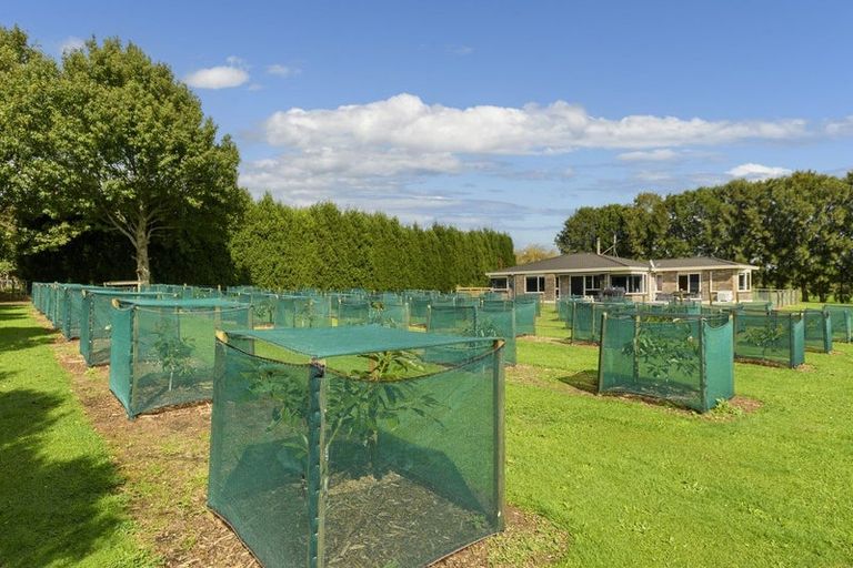 Photo of property in 400 Mclaren Falls Road, Omanawa, Tauranga, 3171