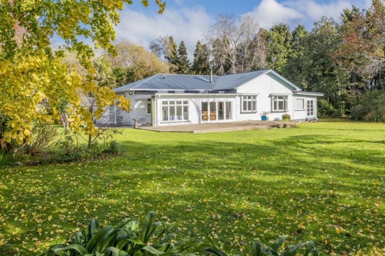 Photo of property in 72 Avenue North Road, Levin, 5510