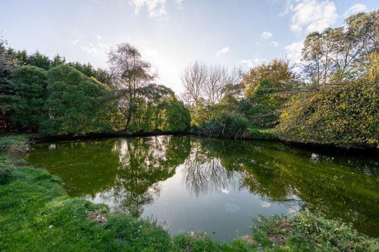 Photo of property in 153 Halcombe Road, Feilding, 4775