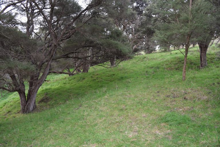 Photo of property in 192b Black Rock Road, Te Ore Ore, Masterton, 5886