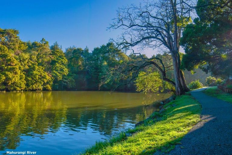 Photo of property in 51 Clayden Road, Warkworth, 0985