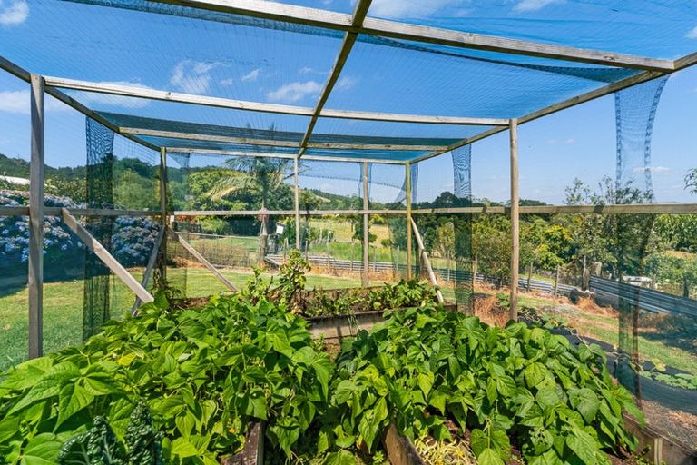 Photo of property in 292 Pipiwai Road, Ngararatunua, Whangarei, 0176