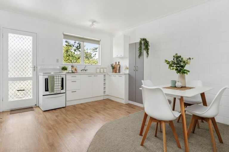 Photo of property in 44 Seventeenth Avenue, Tauranga South, Tauranga, 3112