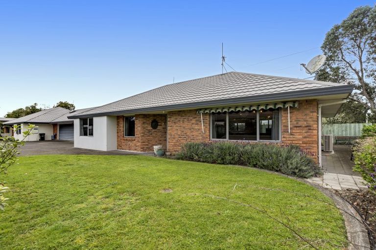 Photo of property in 171e Maungatapu Road, Maungatapu, Tauranga, 3112