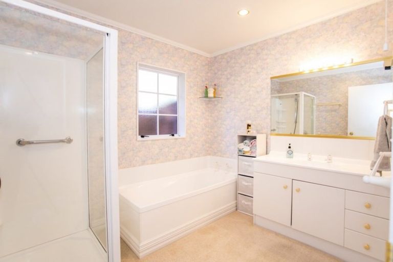 Photo of property in 58 Windsor Street, Terrace End, Palmerston North, 4410