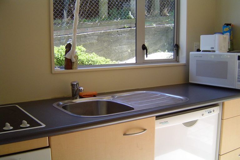 Photo of property in 11 Douglas Street, Mount Cook, Wellington, 6021