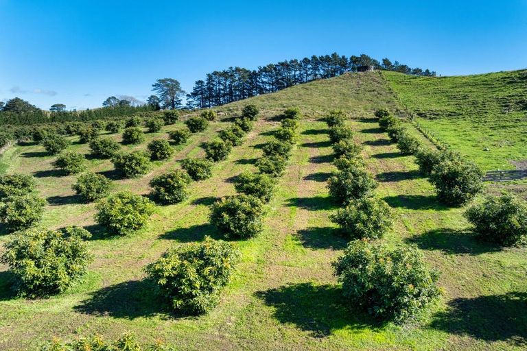 Photo of property in 495a Crawford Road, Minden, Tauranga, 3171