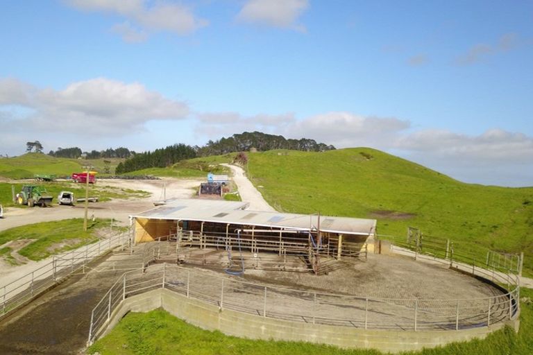 Photo of property in 110a Colville Road, Dargaville, 0310