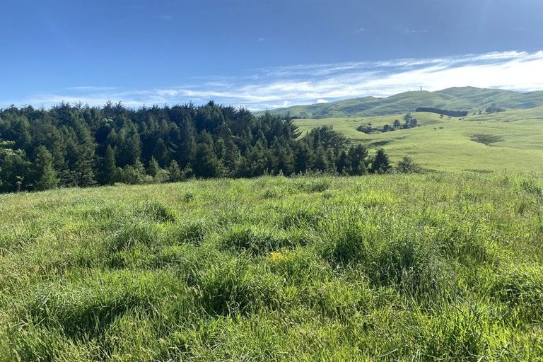 Photo of property in 490 Bluff Rangitumau Road, Rangitumau, Masterton, 5871