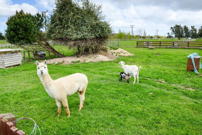 Photo of property in 339 Stoney Creek Road, Kelvin Grove, Palmerston North, 4470