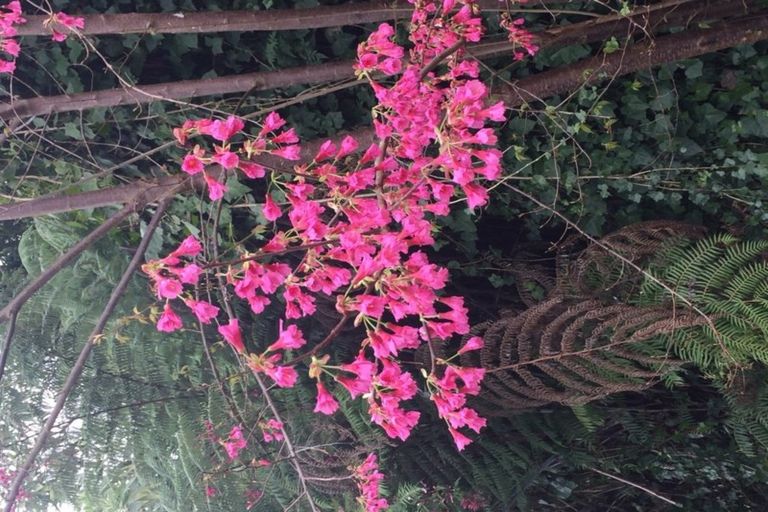 Photo of property in 71 Margaret Drive, Omokoroa, 3114