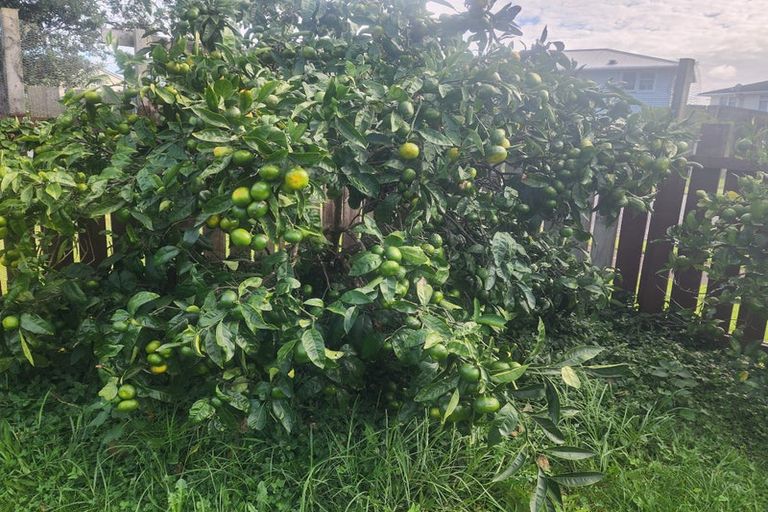 Photo of property in 6 Chadwick Crescent, Mangere East, Auckland, 2024