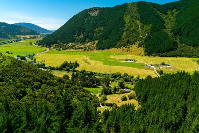 Photo of property in 90 Tapps Road, Canvastown, Havelock, 7178