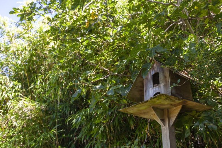 Photo of property in 81 Glen Road, Raumati South, Paraparaumu, 5032