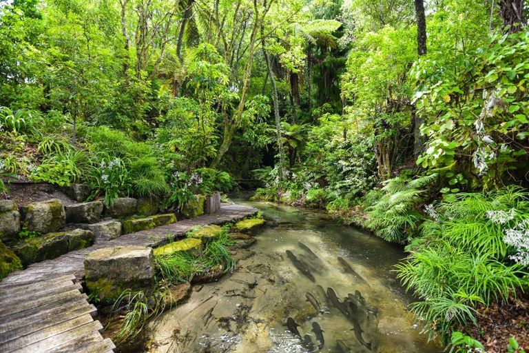 Photo of property in 303 Spencer Road, Lake Tarawera, Rotorua, 3076