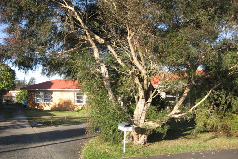 Photo of property in 1 Patricia Avenue, Hamilton East, Hamilton, 3216