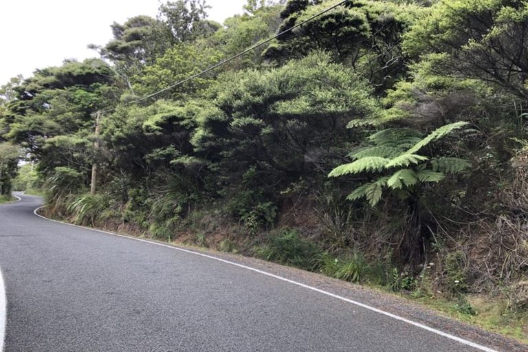Photo of property in 127 Lone Kauri Road, Karekare, Auckland, 0772