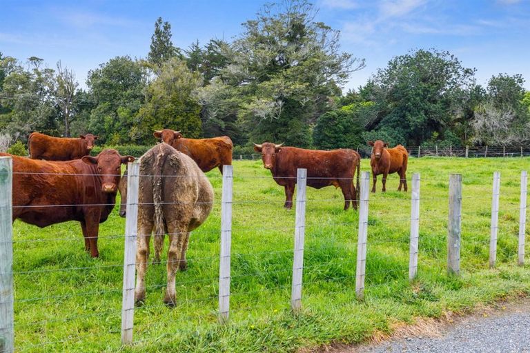 Photo of property in 962 No 2 Road, Te Ranga, Te Puke, 3182