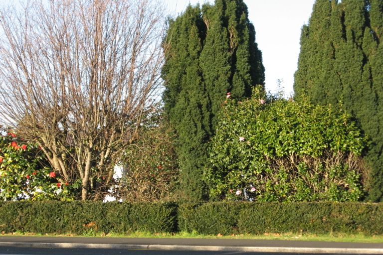 Photo of property in 8 Brooklyn Road, Claudelands, Hamilton, 3214