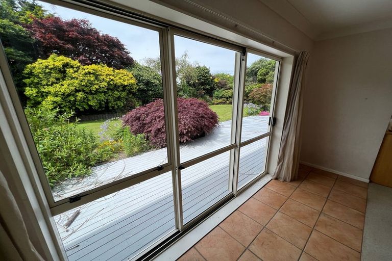 Photo of property in 383 Old Highway, Whakamarama, Tauranga, 3180