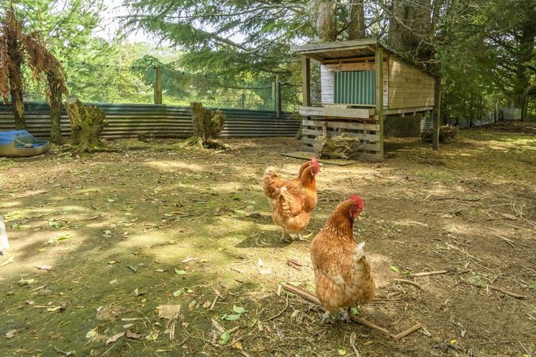 Photo of property in 1446 State Highway 29, Lower Kaimai, Tauranga, 3171