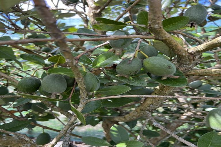 Photo of property in 1 Clough Road, Paroa, Greymouth, 7805