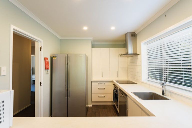 Photo of property in 39 Opoho Road, North East Valley, Dunedin, 9010