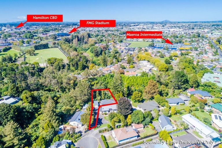 Photo of property in 9b Murray Street, Maeroa, Hamilton, 3200