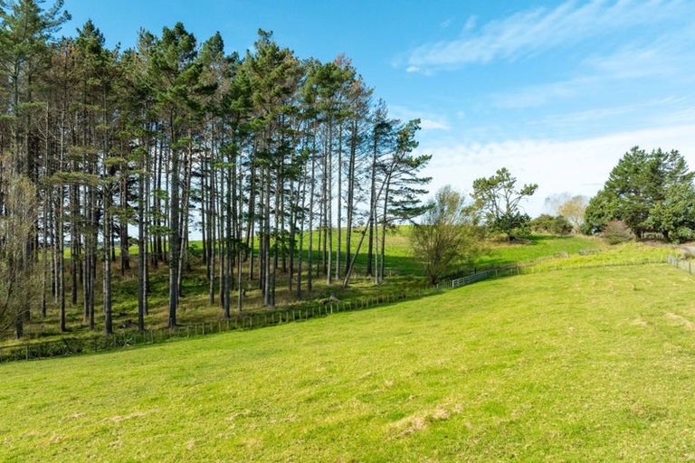 Photo of property in 894 Horseshoe Bush Road, Waitoki, Kaukapakapa, 0871