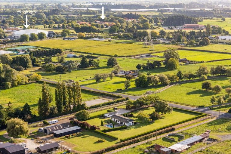 Photo of property in 48 Peake Road, Cambridge, Hamilton, 3283