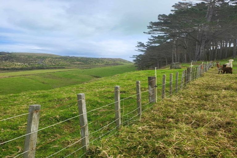 Photo of property in 49 Kai Iwi Lakes Road, Omamari, Dargaville, 0373