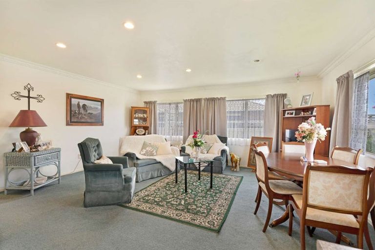 Photo of property in 61 Winchester Street, Levin, 5510