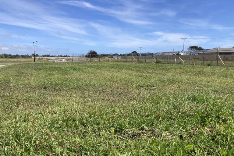 Photo of property in 218 Carrington Street, Vogeltown, 4310