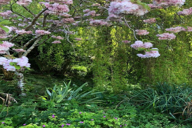 Photo of property in 44 Manchester Street, Bradford, Dunedin, 9011