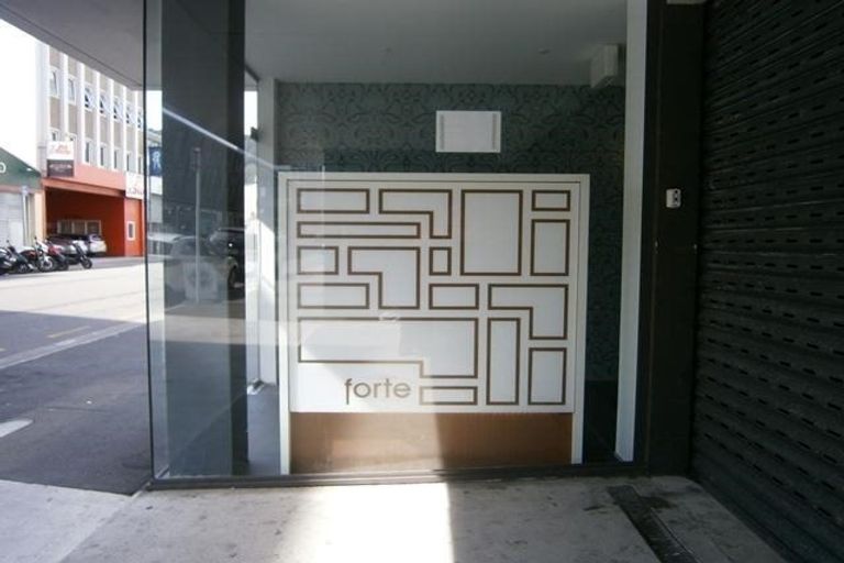 Photo of property in Forte Apartments, 102/13 College Street, Te Aro, Wellington, 6011