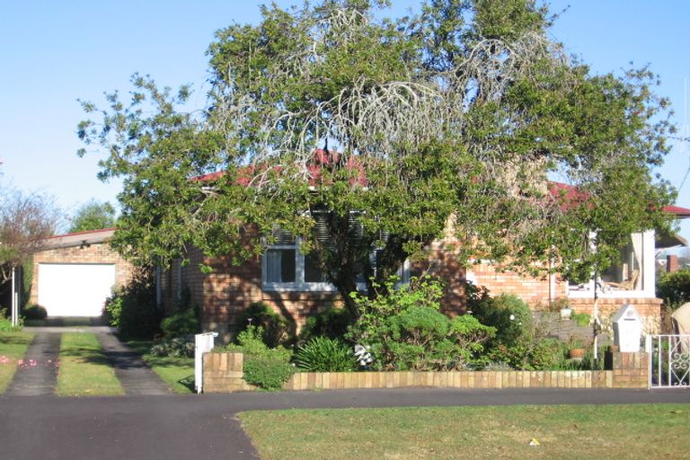 Photo of property in 17 Riverview Terrace, Fairfield, Hamilton, 3214