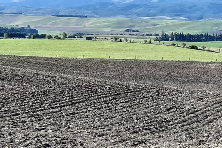 Photo of property in 233 Elephant Hill Road, Waihao Downs, Waimate, 7977