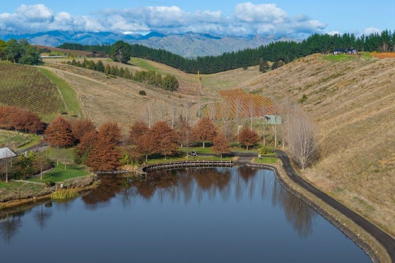 Photo of property in 218 Delta Lake Heights, Renwick, 7271