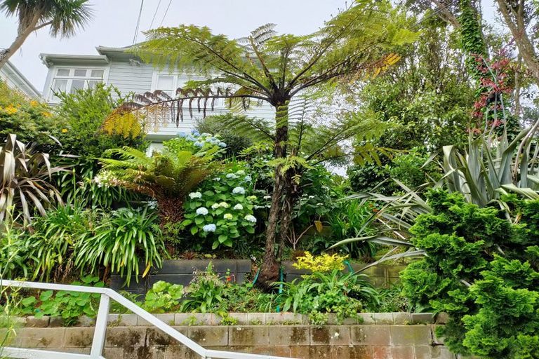 Photo of property in 258 Ohiro Road, Brooklyn, Wellington, 6021